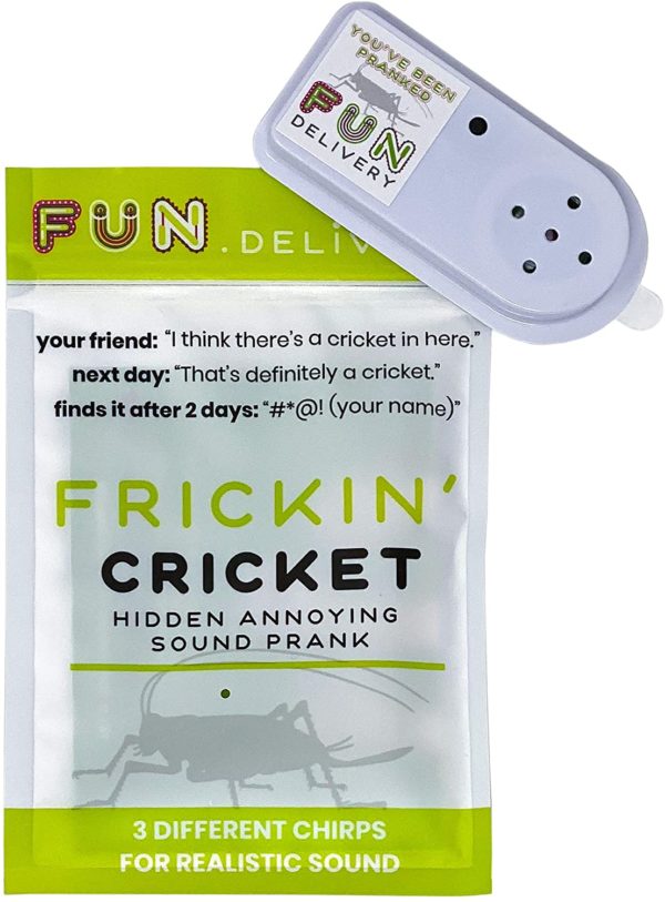 Cricket Hidden Annoying Chirping Gag