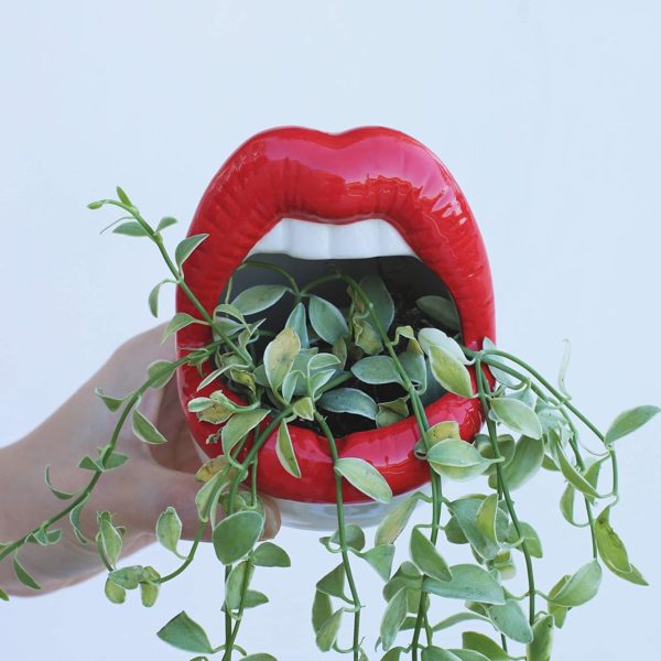Red Lip Planter