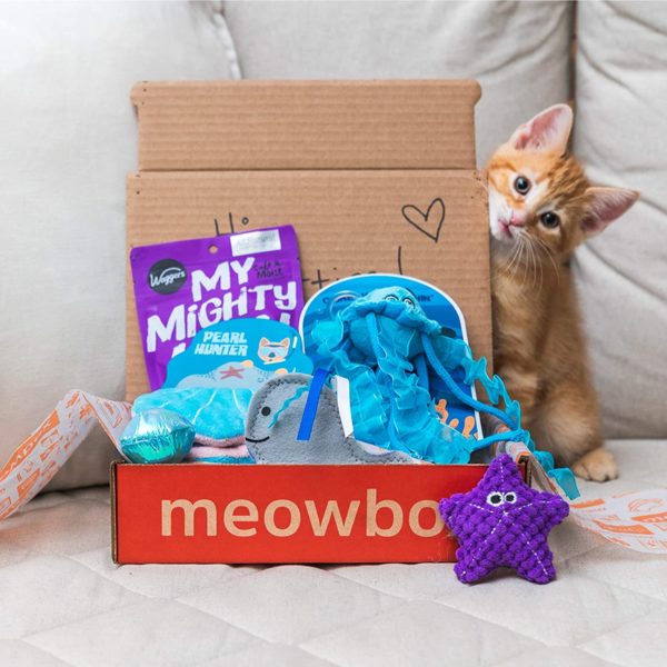 Subscription Box for Cats