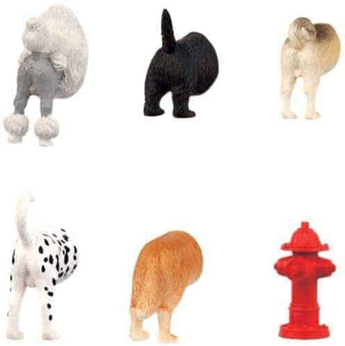 Dog Butts Magnets