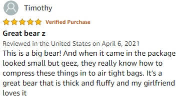 Giant Teddy Bear Review