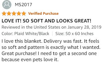 Ombre Blanket For Couch Review