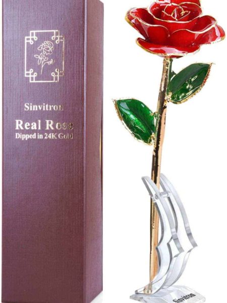 Real Gold Dipped Rose