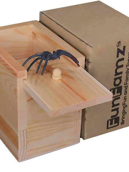 Spider In Box Gift Box