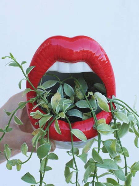 Red Lip Planter