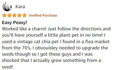 Bob Ross Chia Pet Review