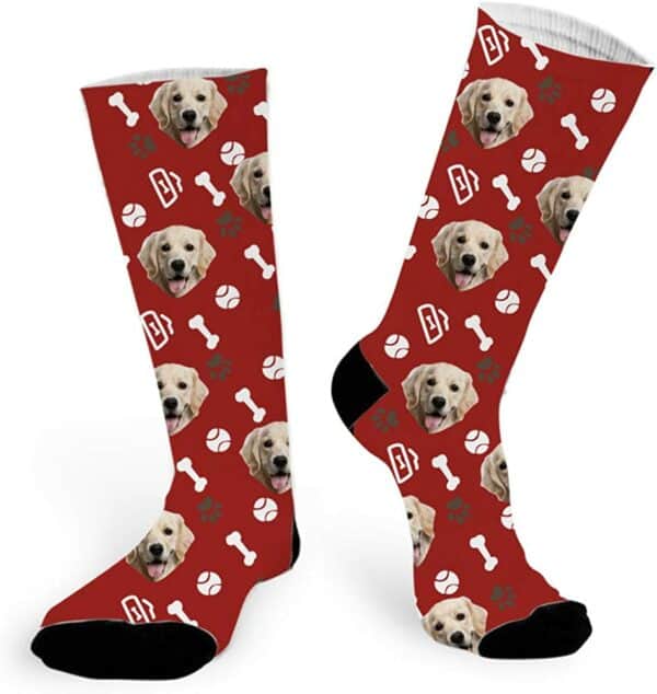 Customized Dog Socks