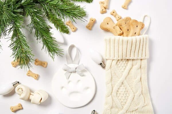 DIY Pawprints Keepsake Kit for Dogs