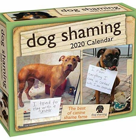 Dog Shaming Day-to-Day Calendar