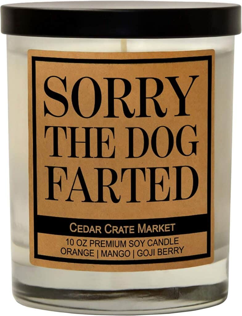 Funny Dog Candle