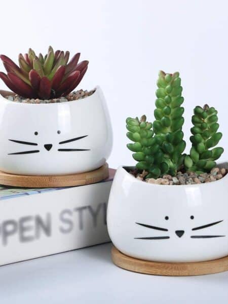 Cat Ceramic Succulent Planter Pots