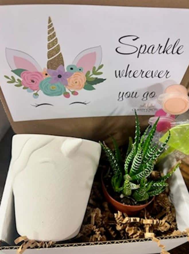 Unicorn Succulent Gift Box