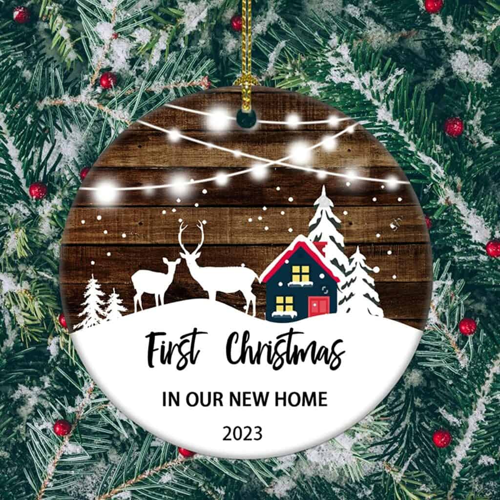 First Christmas in Our New Home