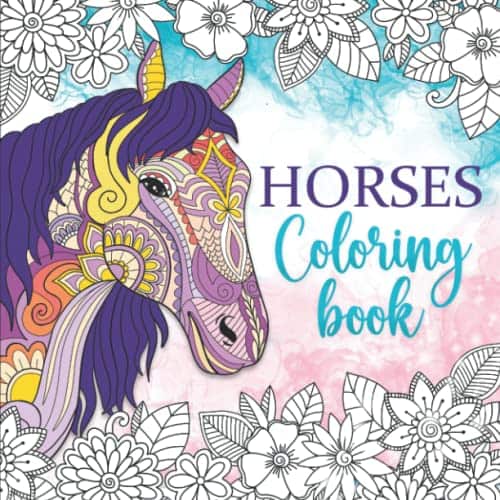 Horses Coloring Book