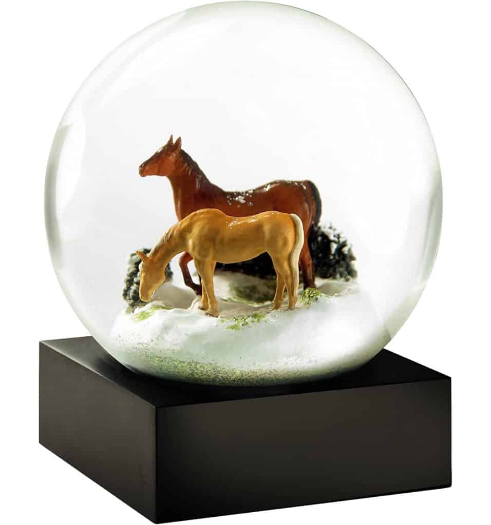 Horses Cool Snow Globe