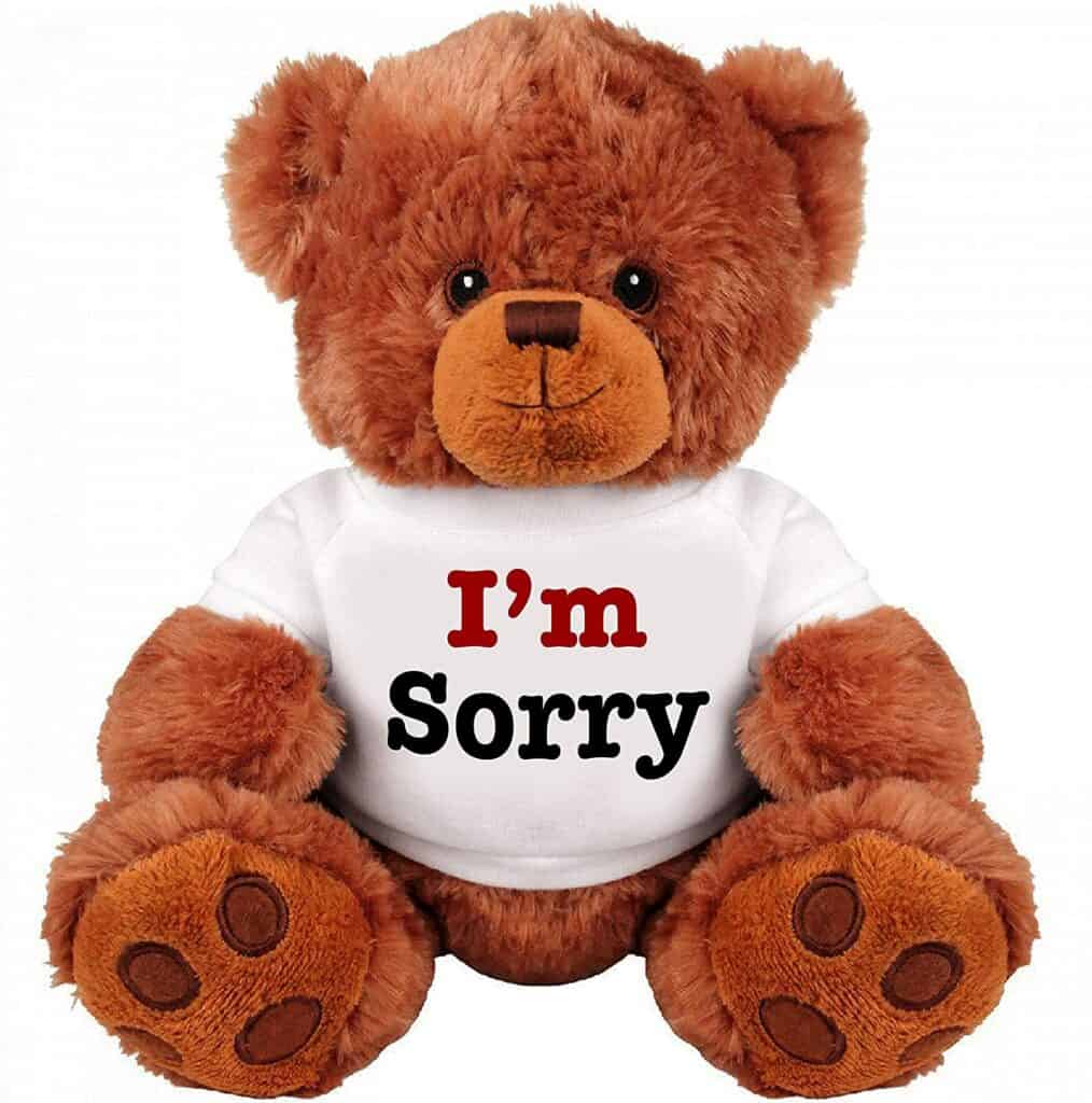 I’m Sorry Teddy Bear