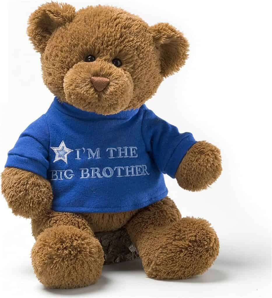 I'm The Big Brother Teddy Bear