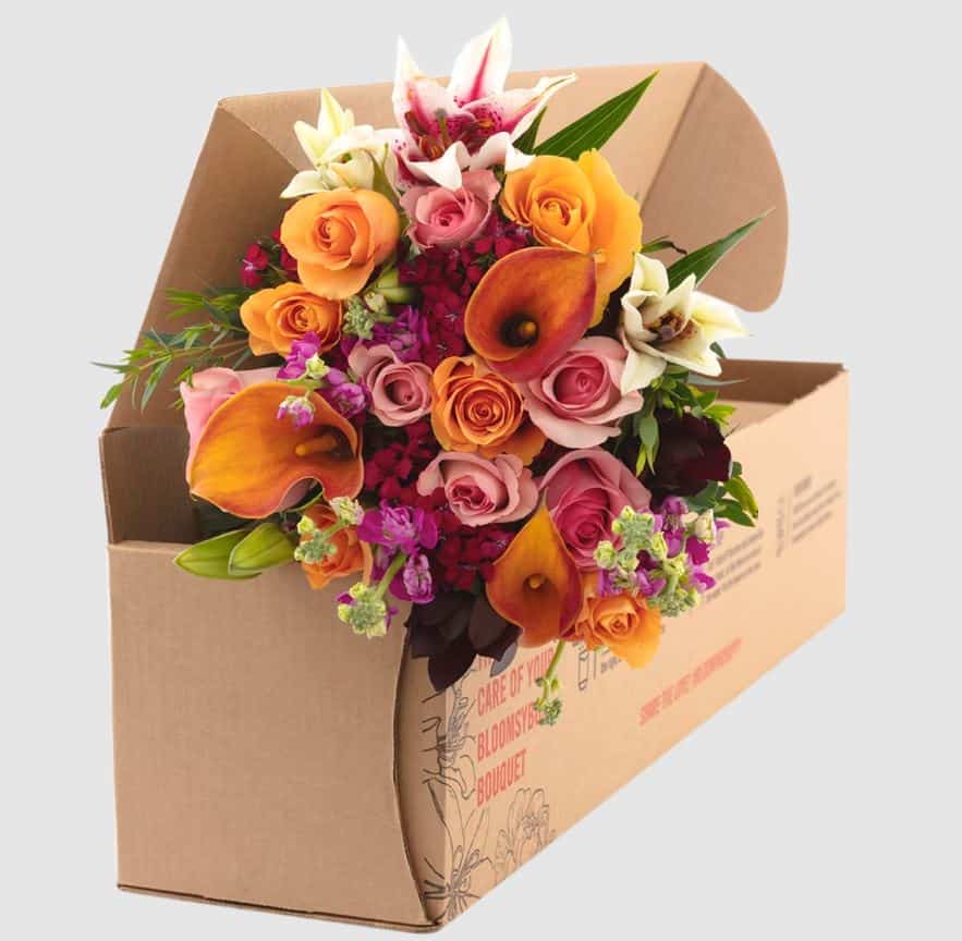 Beautiful Flowers by Monthly Subscription