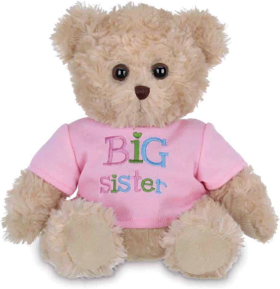 Big Sister Plush Teddy Bear
