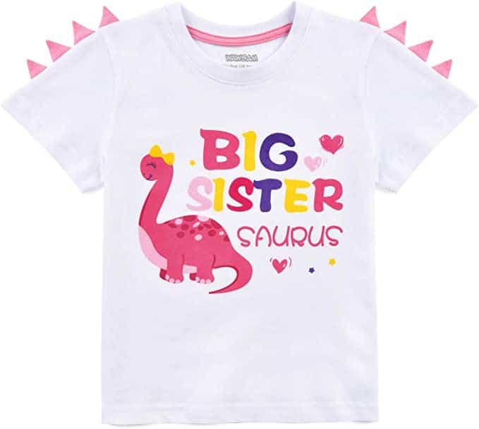 Dinosaur Big Sister Announcement T-Shirt