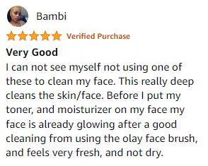 Facial Cleansing Brush Review