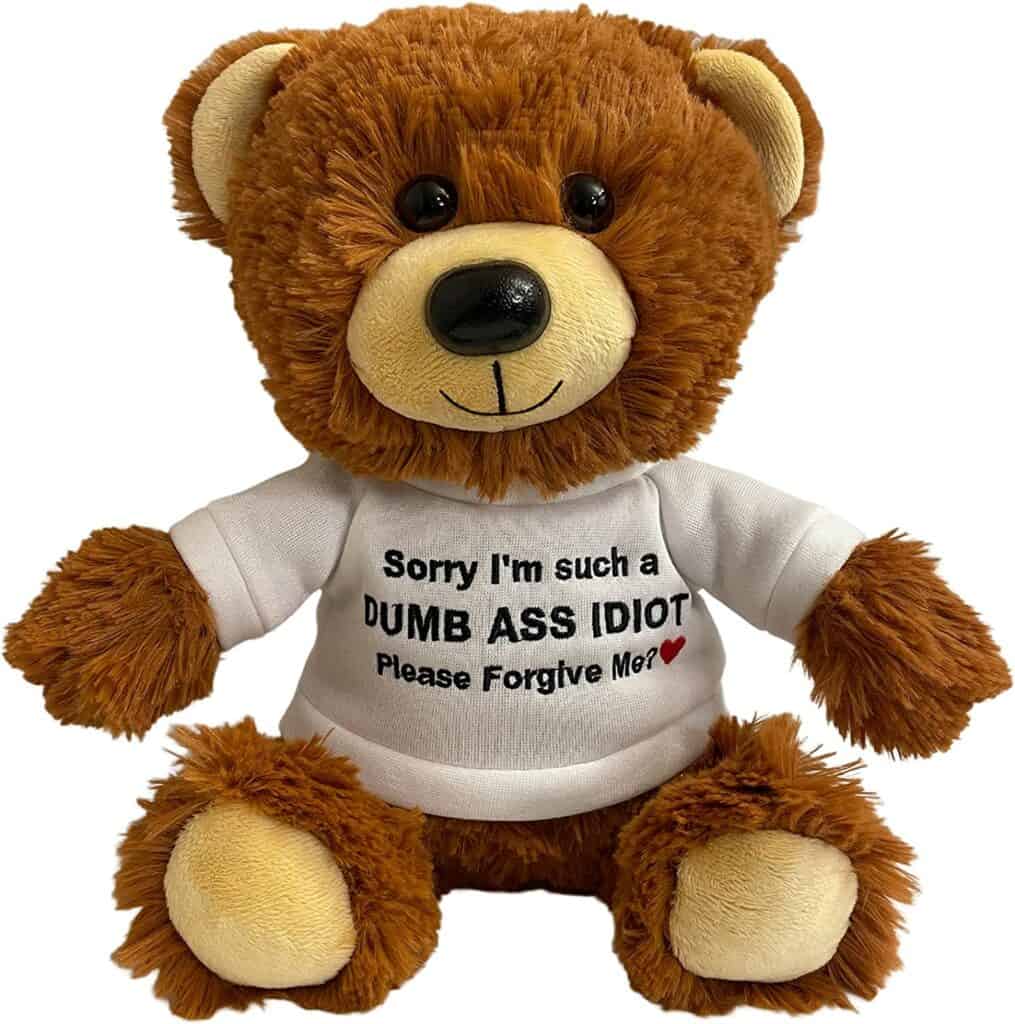 Sorry I'm Such A Idiot Teddy Bear