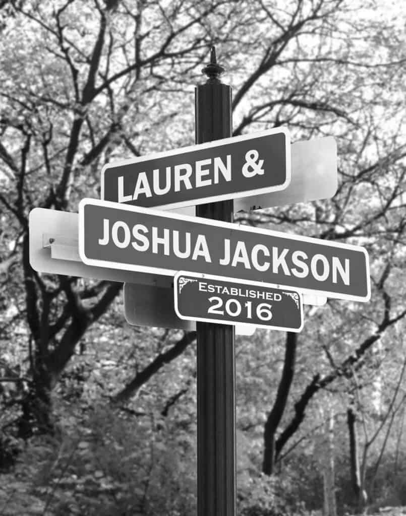 Lover's Lane Personalized Street Sign Art