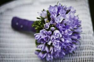 Purple Irises - Flowers That Mean Friendship