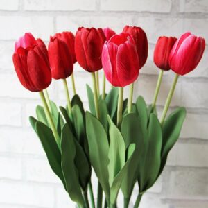 Red Tulips - Flowers That Mean Friendship