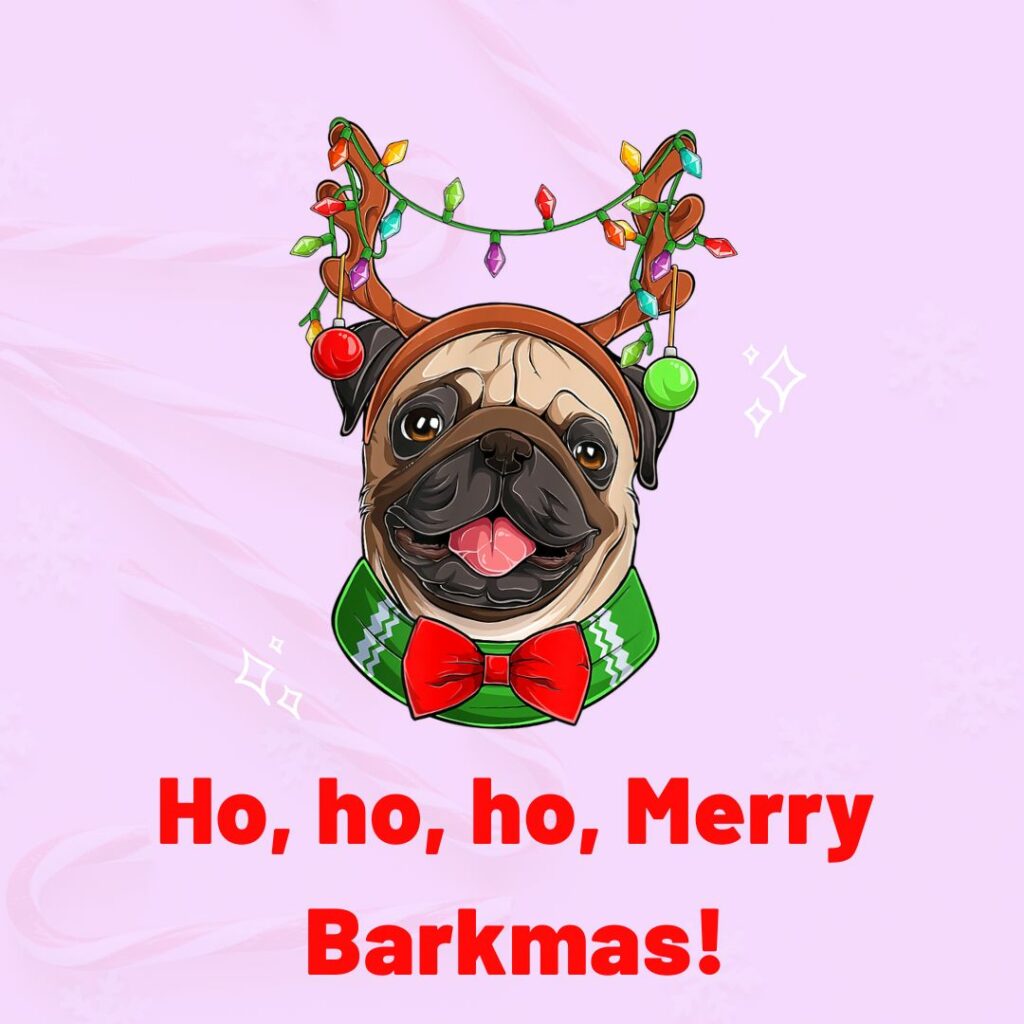 What Are The Best Christmas Dog Puns For Instagram