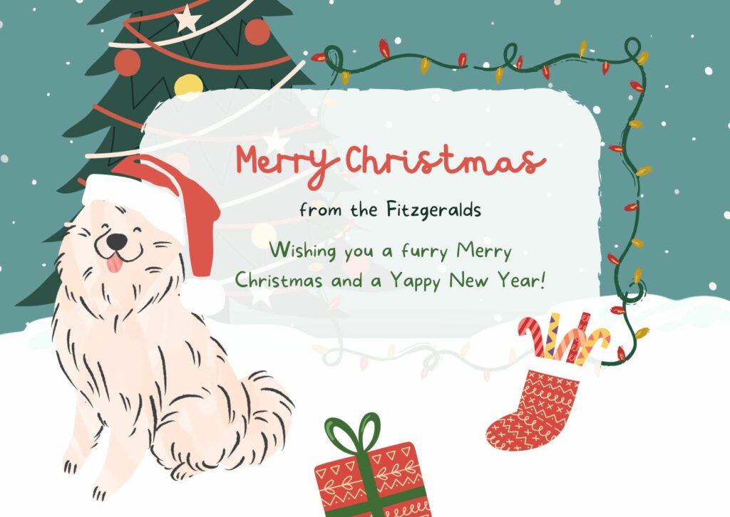 What Do You Write on a Dog Christmas Card