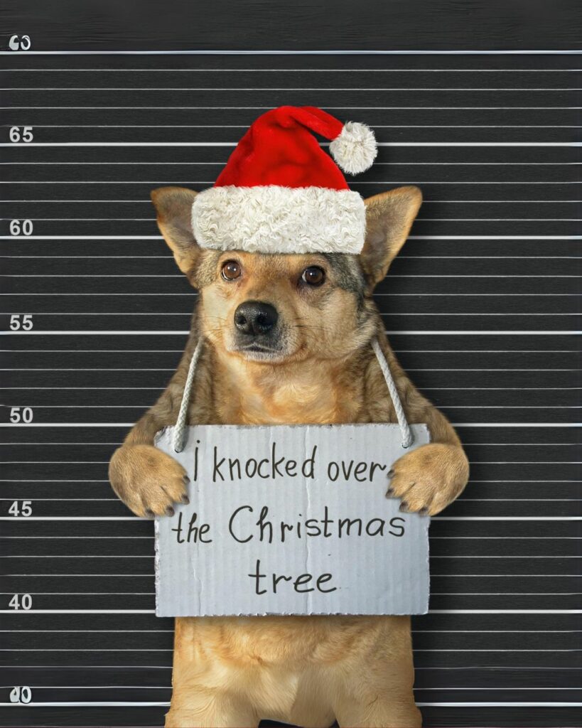 What Is The Charm Of Christmas Dog Puns